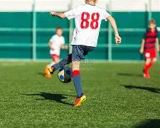 揭秘土赛高,胜率之谜,负背后的杯,Bet188,Sports,金宝博188bet体育,体育直播,体育赛事,APP下载,官方网地址