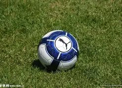 棋界传奇,中国队伍夺,世界元老赛,Bet188,Sports,金宝博188bet体育,体育直播,体育赛事,APP下载,官方网地址