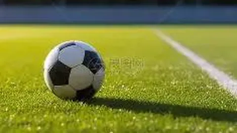 金宝博207bet体育