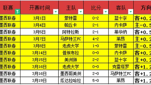 伊朗以2-0完胜阿联酋，成功晋级世界杯亚洲区预选赛